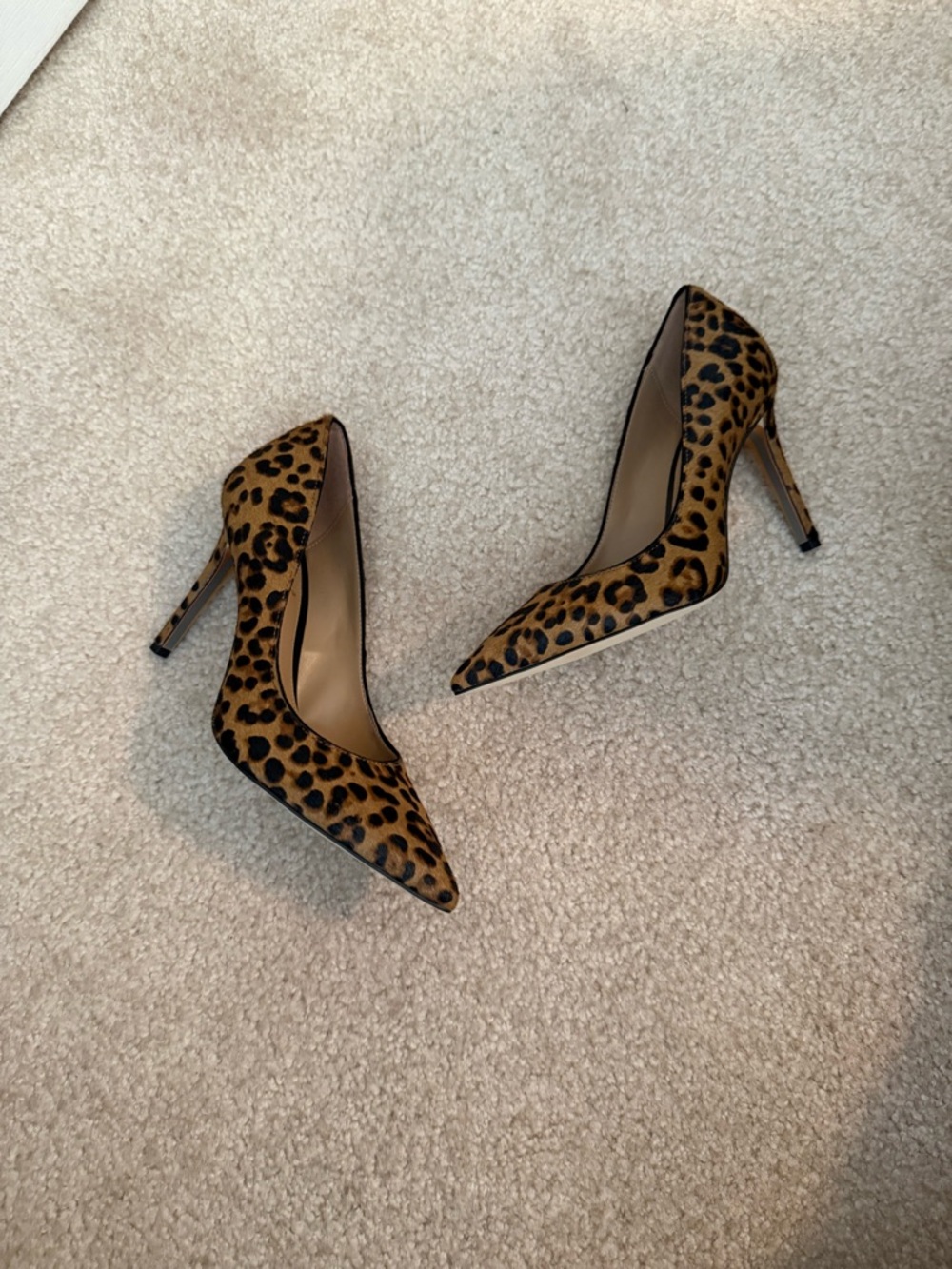 NWOB Sam Edelman Leopard Print Pointed Toe Stilettos - Brown/Black - Picture 6 of 9